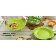 Tupperware blossom plate/tupperware plate