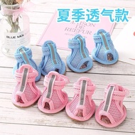 Dog Shoes Pet Dog Shoes Pet Dog Shoes Small Dog Shoes Small Dog Out No Pet Hospital20250928