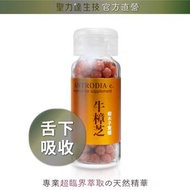 聖力達生技 - 牛樟芝頂級椴木培養子實體精華 舌下吸收（180粒/瓶）超臨界CO₂萃取