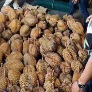 US Durian Bulat Utuh Montong Palu Parigi 6kg x 75rb