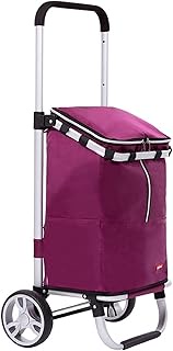 Shopping Cart Folding Shopping Cart with 2 Wheels Telescopic Shopping Trolley for Shopping Luggage Tools Office Grocery Cart (Fuchsia) vision