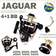 Jaguar orca spining rail