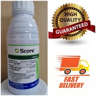 500ML SCORE SYNGENTA / Racun Kulat / Karah