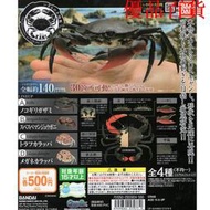 現貨 Bandai萬代扭蛋 螃蟹青蟹 梭子蟹 仿真動物可動模型海洋生物