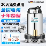 12V24V48V60V72 Battery Car Submersible Pump Agricultural Pump Household Pump Well DC Volt Electric V