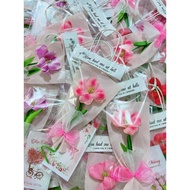 Flowers with Card Bag 1 Blooming Tulip for International Women's Day March 8