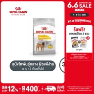 Royal Canin Medium Dermacomfort โรยัล คานิน อาหารเม็ดสุนัขโต พันธุ์กลาง ผิวแพ้ง่าย อายุ 12 เดือนขึ้นไป (3kg, Dry Dog Food)
