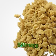 Superior BSF Maggot Eggs