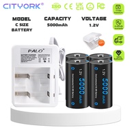 CITYORK 1.2V NI-MH C size Rechargeable Battery R14 LR14 Batter 1.2V AAA AA C D Battery LED Charger