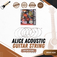 Tali Gitar Akustik Alice A306P untuk Gitar Akustik