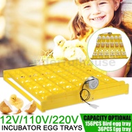◑✉【36 Eggs】Automatic turning egg tray small incubator tray/156 bird trays