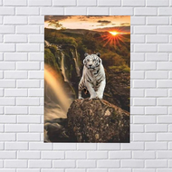 POSTER MACAN PUTIH/FOTO MACAN PUTIH/POSTER BINATANG/POSTER MURAH/HIASAN DINDING/UKURAN 32X48CM/POSTE