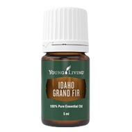 ORIGINAL YOUNG LIVINGS YL Idaho Grand Fir Essential Oil Single 5ml Grounding Reduce Anxiety Inflamat