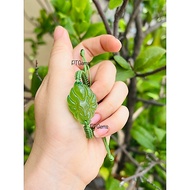 Sour Fox Bracelet' (9 tails) suitable for Wood-Fire destiny - PTGems