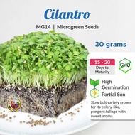 [30g] MG14 Cilantro Microgreen Soon Huat Seeds