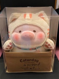 Lulu豬 Caturday 公仔 紙盒貓咪