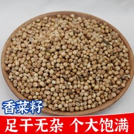 Coriander Seeds Spices Coriander Seeds Coriander Seeds Coriander Seeds Braised Pork Soup Stewed Pork