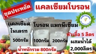 ชุดทำแคลเซียมโบรอน สูตรพื้นฐาน/ไม้ผล/เร่งดอก/ขยายผล