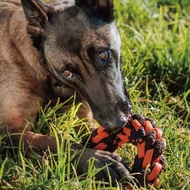 露營野趣 寵物玩具 狗狗 新星繩索圓環