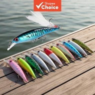 Semi-Water Realistic Motion Artificial Bait Set for Dorado Traira Peacock Perch 9cm 8g