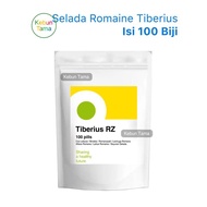 Benih Selada Romaine Tiberius RZ Rijk Zwaan Isi 100 Biji KYS