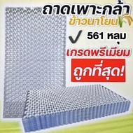 ถาดเพาะกล้านาโยน (Seedling tray) มี 434/561 หลุม มีให้เลือก 1-1000 ชิ้น ถาดนาโยน ถาดเพาะนาโยน กล้านา