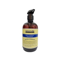 Gold Nine Aromatherapy Anti Dandruff/Oily Control Shampoo/Ginger Revive Shampoo 500ml