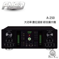 FNSD 華成 A-250 大功率 數位迴音 綜合擴大機【免運+公司貨】