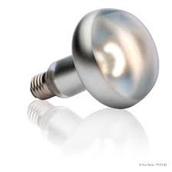 75w ExoCare Intense Basking Spot - Basking Lamp Reptile Turtle Tortoise Bearded Dragon Lizard Tegu G