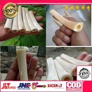 Pipa ONCE TULANG IGA DUYUNG ORIGINAL KUALITAS TERMURAH panjang 8-10 cm