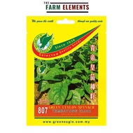 GE 807 Green Ceylon Spinach Seed/ Tembayung Hijau Benih (5gm)
