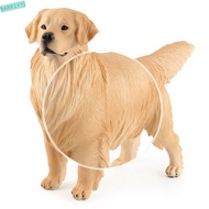 BARR1YYJ Dog Figurine, Simulation Solid Miniature Animal Model, Children Educational Toys Realistic 