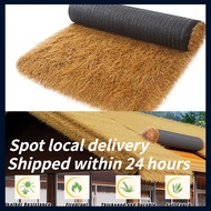 【5 Years Warranty】2M × 10M Simulated Thatched Roof Area Decoration Fake Straw Thatched Tiles Villa A