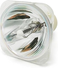 Replacement Projector Lamp Compatible with Optoma SP.72J02GC01 HD142X HD27 DH1009i HD137X HD140X HD2