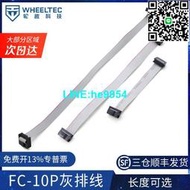 【小楊嚴選】灰排線 FC-10P雙頭線 電纜AVR連接線  10CM 20C