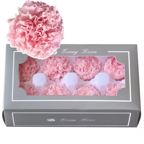 4-5Cm A Grade 8Pcs Eternal Carnation Preserved Flower Head Valentine'S Day Mother'S Day Gift Decorat