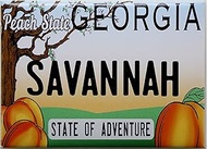 Savannah Georgia License Plate Fridge Collector's Souvenir Magnet NewDesign 2.5" X 3.5"
