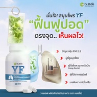 🔥ส่งไว🍀ตัวช่วยเสริมภูมิ บรรเทาเหนื่อยง่าย ไอแห้ง เเน่นหน้าอก หายใจติดขัด มีน้ำมูก เจ็บคอ YFฟื้นฟูร่า