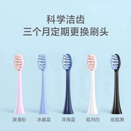 New Product#适配飞科Flyco电动牙刷头TH01/FT7105/7108/7205 Replacement Universal 12Y