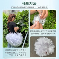 Ready Stock Quick Shipment/Ready Stock Quick Bag Guava Bag Guava Bag Foam Bag Pomegranate Insect-Pro