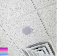 天花喇叭/墻壁音箱 買一送一