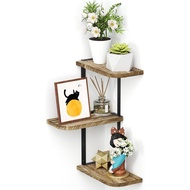 One-Word Board Plant Cross-Border Creative Rural Shelf Storage Style Flower Pot Floating Decorative 
