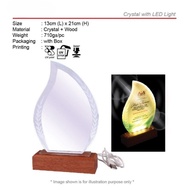 Crystal LED Award Trophy with Wooden Base | Crystal LED Appreciation Trophy