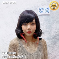 วิกผมแท้ วิกผมแท้100% วิกผู้หญิง ผมแท้ลอนสั้น CALAWIGS-2020 วิกผมแท้ ทอเครื่อง รหัส 8288
