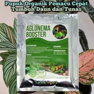 Pupuk Organik Penyubur Aglonema Cepat Beranak Pupuk Aglonema Terbaik Pupuk Aglonema Merah Pupuk Aglonema biar Subur Pupuk Aglonema Paling Bagus Pupuk Aglonema Termurah