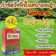 กําจัดวัชพืชในสนามหญ้า กำจัดหญ้าแห้วหมู 1กล่อง (12 ซอง)ผักปอดนา หนวดปลาดุก กก ฆ่าหญ้าแห้วหมู ในสนามห