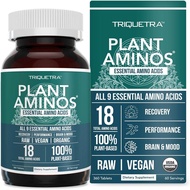 Plant Aminos Organic Essential Amino Acid Supplement (EAAs) & BCAA - 100% Plant-Based Raw, Vegan - A