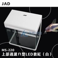 AC草影JAD 上部過濾ㄇ型LED套缸（白）一組魚缸套缸 新手魚缸