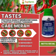 Obat Bule Pada Tanaman Cabe / Obat Cabai Daun Kuning / Obat Daun Cabe Keriting Dan Kuning / Obat Ker