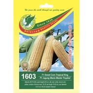 1603 (1602) F1 Hybrid Sweet Corn Tropical King / Jagung Manis Master Tropikal